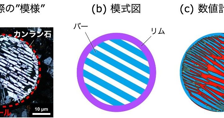 太陽系の「石のタイムカプセル」の”模様”を数値計算で再現！〜小惑星や隕石に含まれる不思議な形をした鉱物の結晶成長過程の解明へ〜