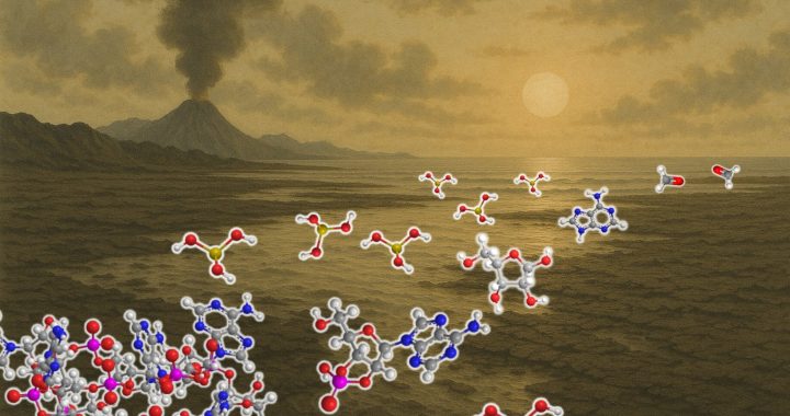 原始地球を模擬した実験でRNAを構築する一連の化学反応を実現：ホウ酸と脱水リン酸が豊富な海岸で原始RNAが誕生か