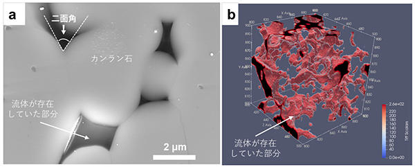 島弧下の新しい水循環モデルを発表