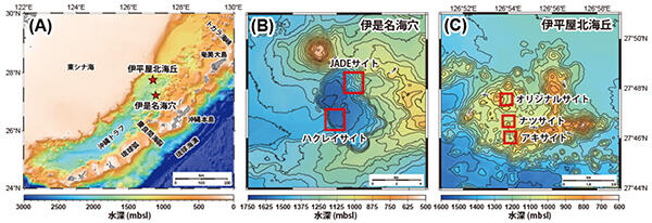 海底熱水鉱床の初期形成プロセスに微生物活動が寄与 ―海底下鉱床形成モデルを書き換える可能性―