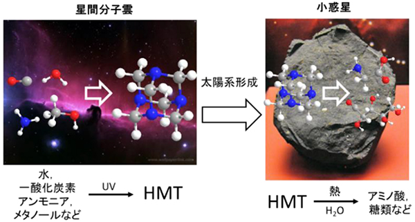 太陽系形成より古い有機分子を炭素質隕石から検出 ～ただ古いだけじゃない！太陽系に存在する有機物生成に不可欠な分子～