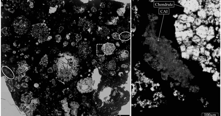 小惑星リュウグウの石から太陽系最初期にできた可能性のある物質を発見─原始太陽系星雲内側で形成し、太陽から遠いリュウグウ母天体まで運ばれたか─