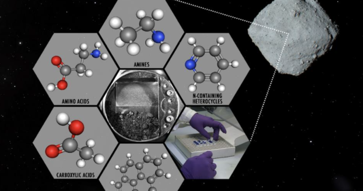 炭素質小惑星(162173)リュウグウの試料中の可溶性有機分子