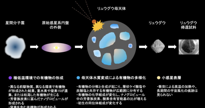 小惑星リュウグウ試料中の黒い固体有機物