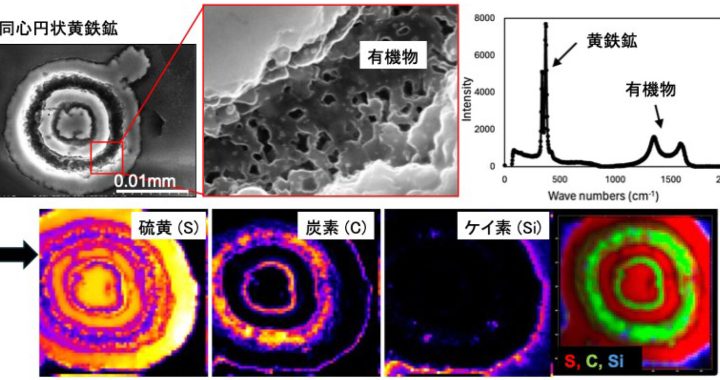 34億年前の海洋に生物的硫黄代謝の痕跡―太古の浅瀬は生命にとっての”硫黄のオアシス”だった？―