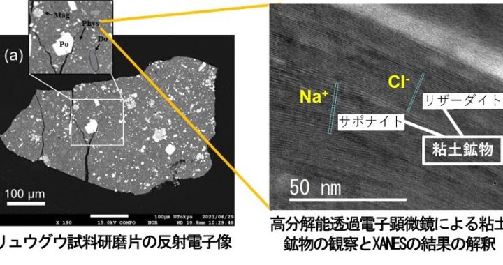 リュウグウのナトリウムと塩素は、塩ではなく吸着態で存在 -アミノ酸などの生体物質の合成や地球への水供給への示唆-